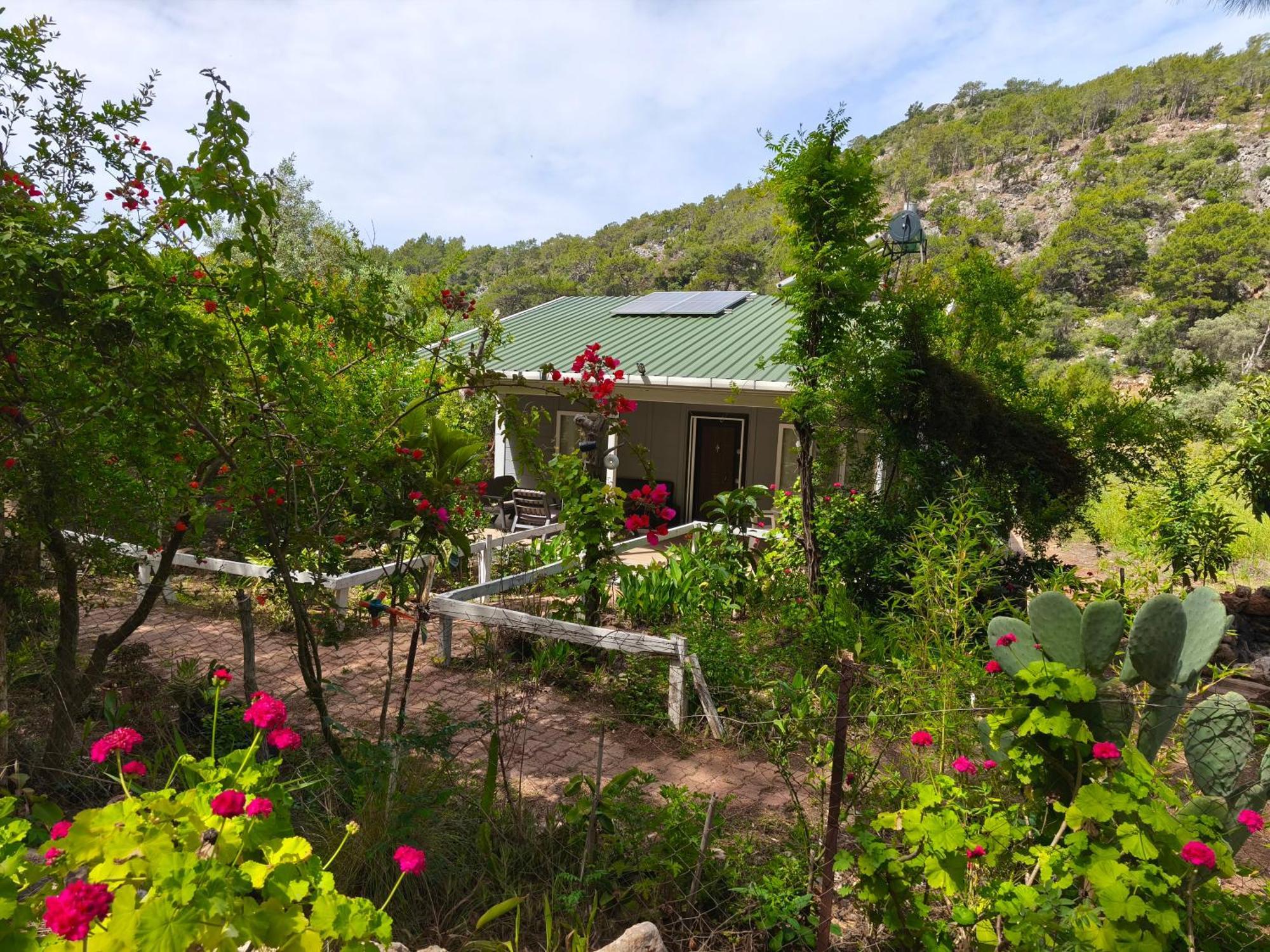 Gelidonia Fenerium Holiday Home Antalya Exterior foto